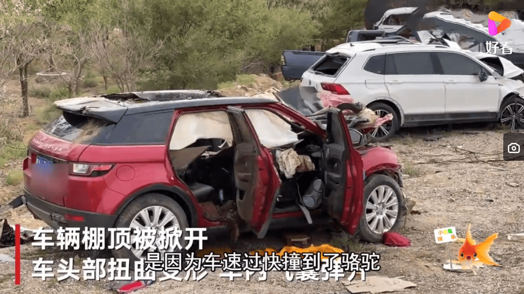谢大脚扮演者于月仙车祸离世事故原因是车撞骆驼车车佳