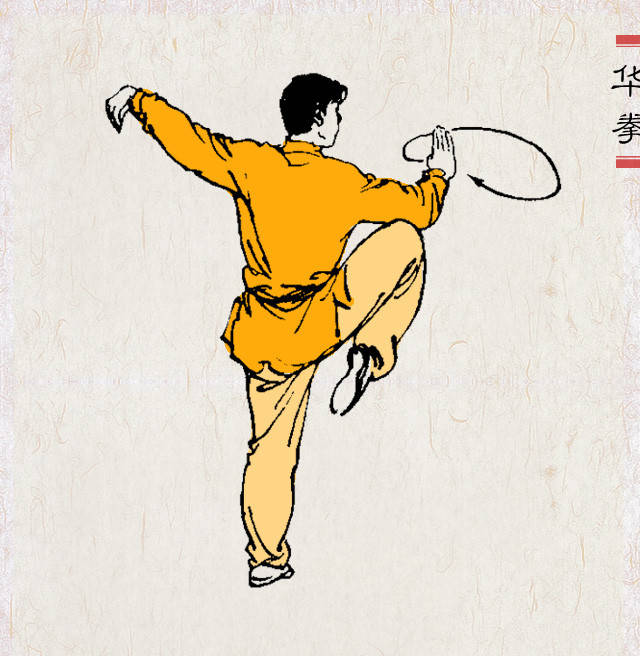 【武术百科】中国武术传统拳种之华拳