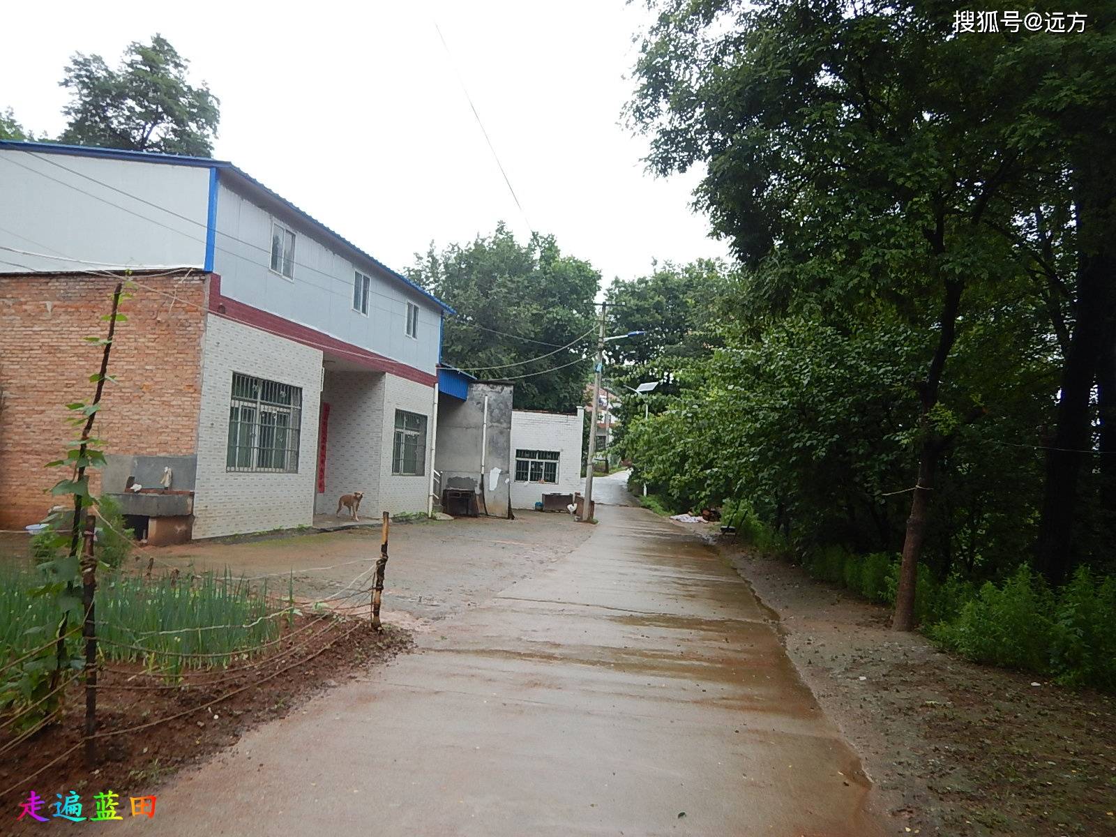 走遍蓝田,2021小寨镇(南沟村)穿越旅行(1).