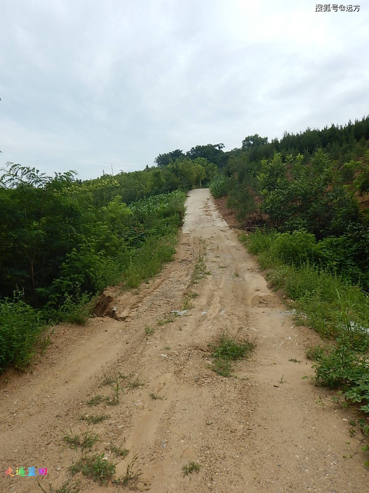 走遍蓝田,2021小寨镇(张沟村)穿越旅行._西坡村