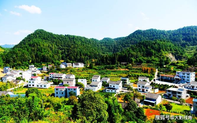 近年来,思南县塘头镇青杠坝村以民心党建为引领,不断探索乡村发展