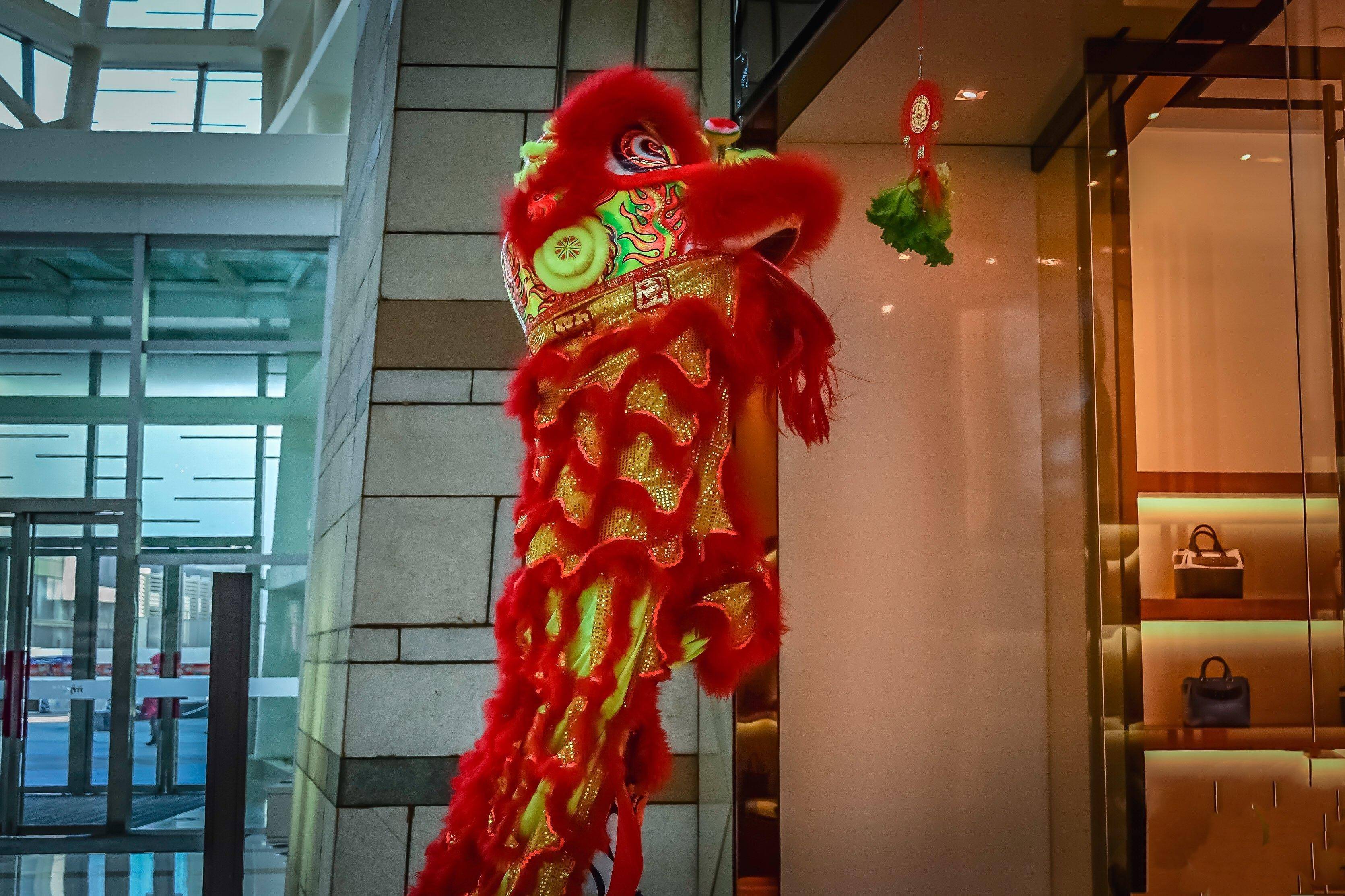 诸暨舞狮队,专业正宗舞狮队,开业庆典,婚礼 晚会 大小型梅花桩舞狮