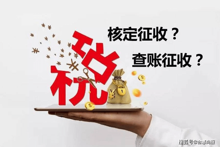 青岛国税税税通网上报税系统_消费税_铸币税 通货膨胀税