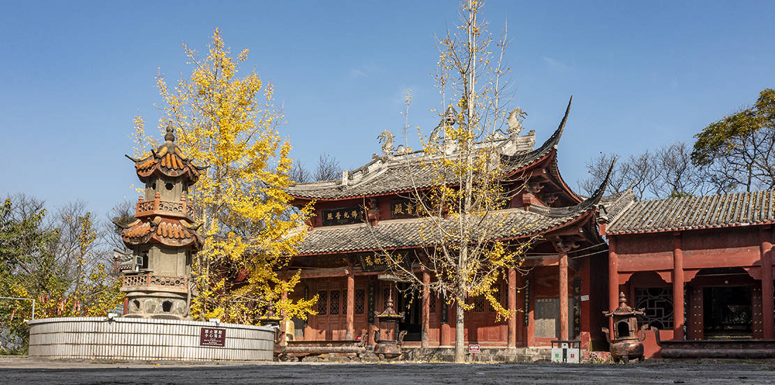 千年古刹天皇寺:深秋银杏醉游人_越西县_陈先林_刘国兴