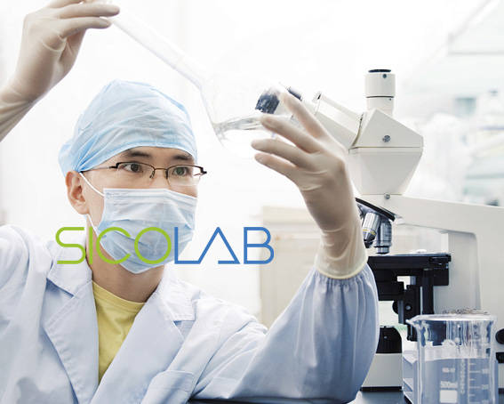 湛江门诊临床实验室建设方案sicolab