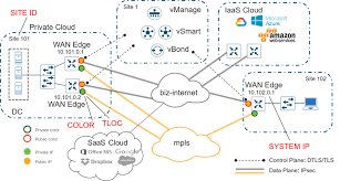 SD-WAN：企业新毗连体例