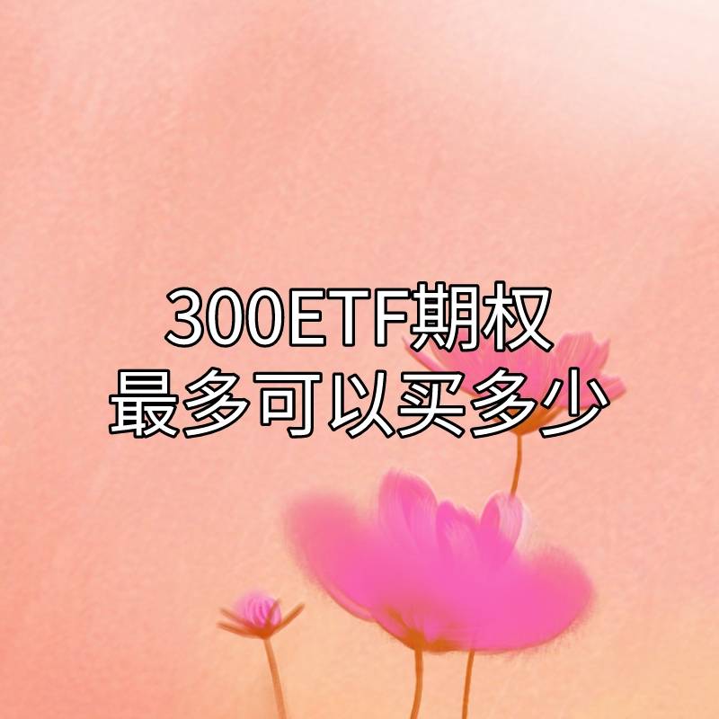 你晓得沪深300ETF期权最多能够买几？