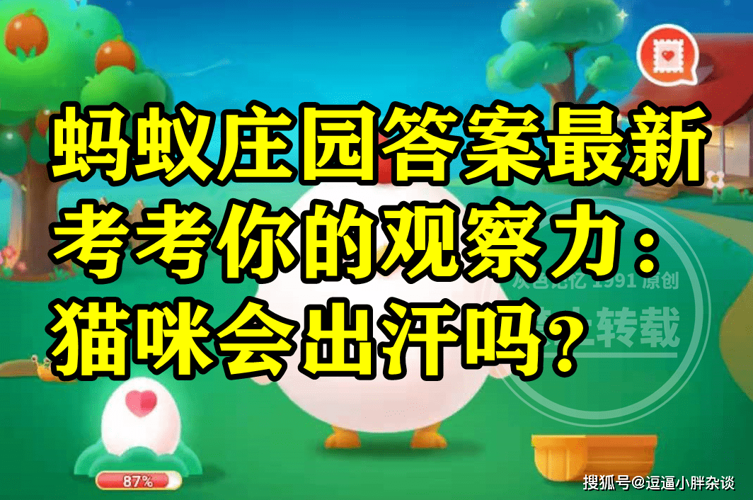 蚂蚁庄园猫咪会不会出汗谜底 考考你的察看力猫咪会出汗吗？