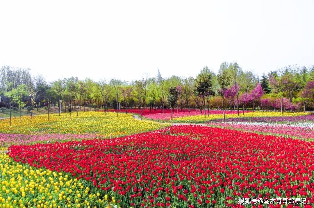 3月18日郑州绿博园问花节美意启幕！