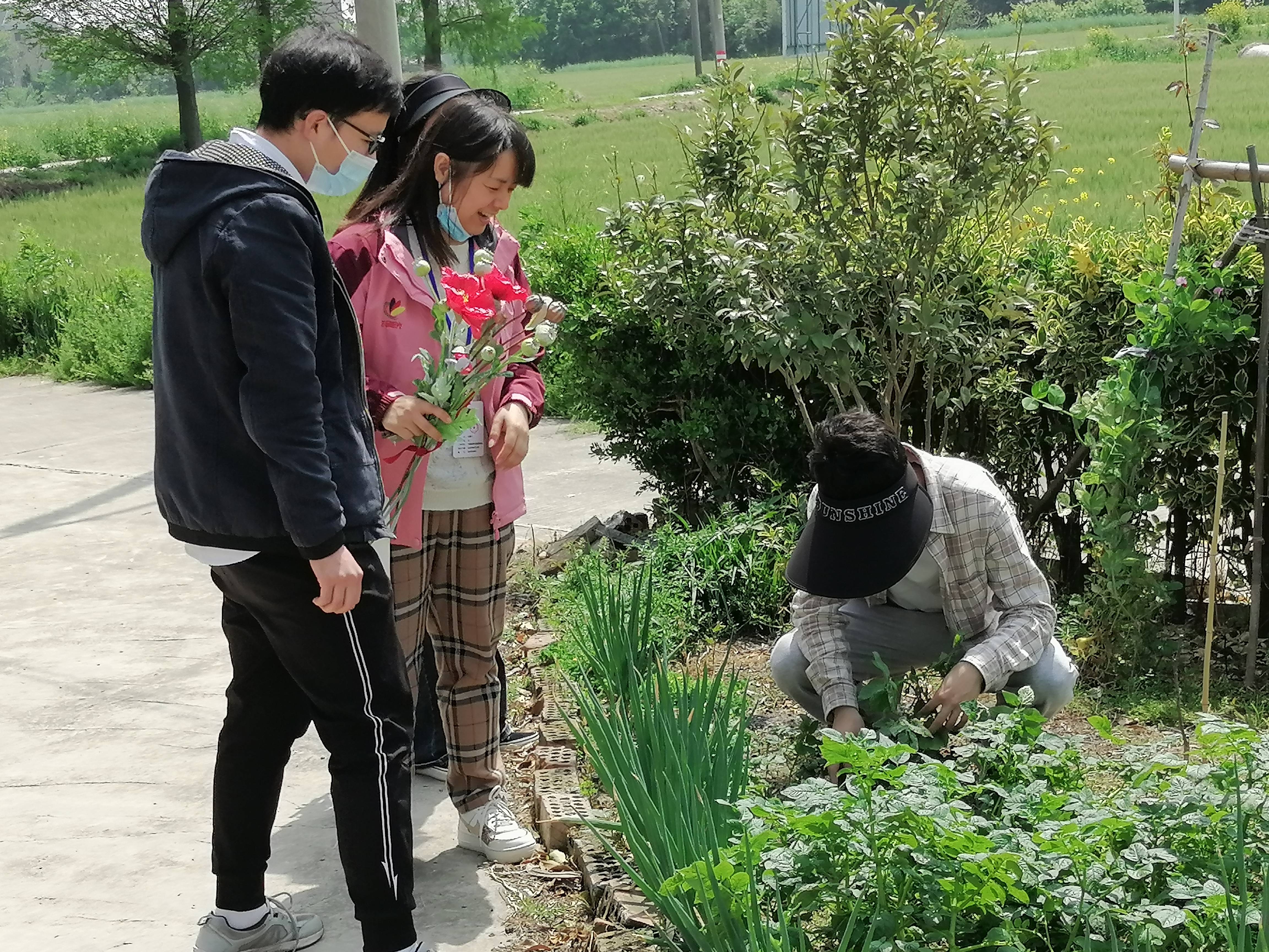 阳春四月好时节 禁种踏查合理时