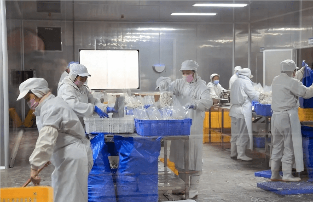 天天食安行——食品厂卫生操作规范