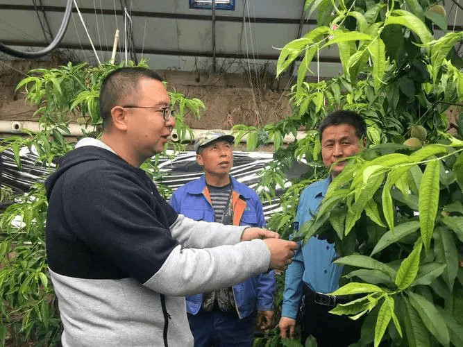九游会J9 J9九游会别划走！农艺技术指导证书怎么报考？证书有什么用？报考流程及时间(图3)