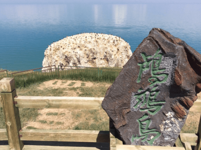 四海云游青海旅游路线景点攻略