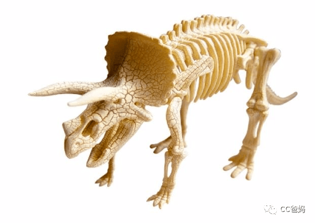 三角龙是最晚出现的恐龙之一,是食草恐龙.