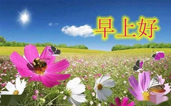 bc7d175499324b22b906ebdac8550daf.jpeg