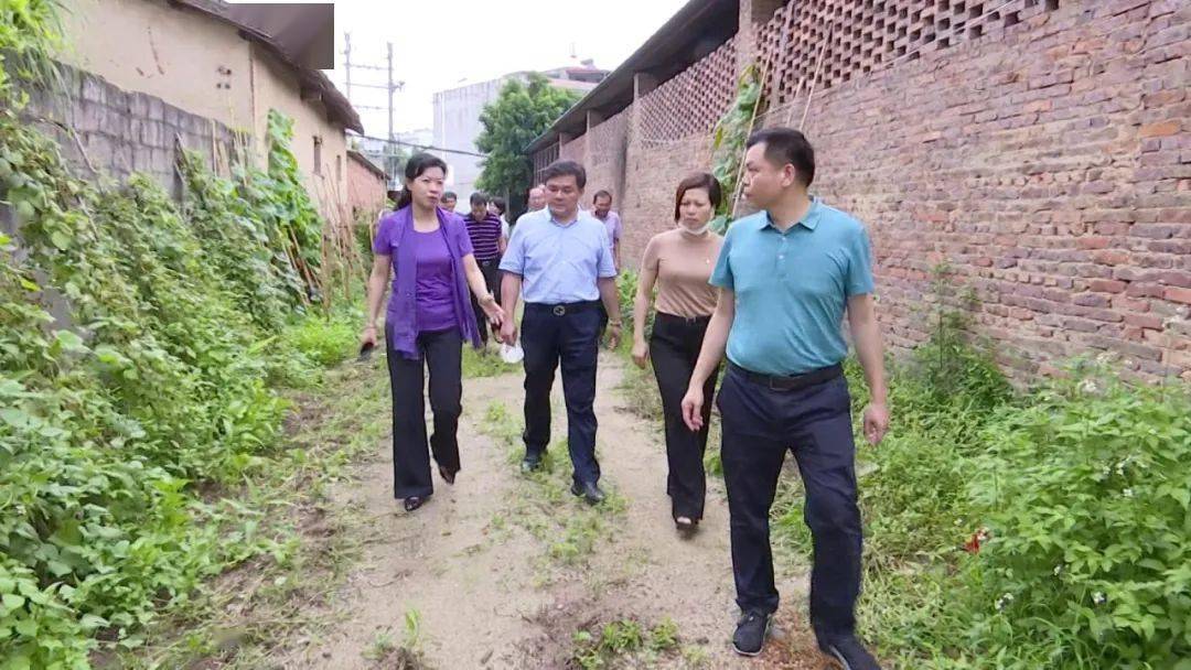 蔡绿璇带队调研教育工作