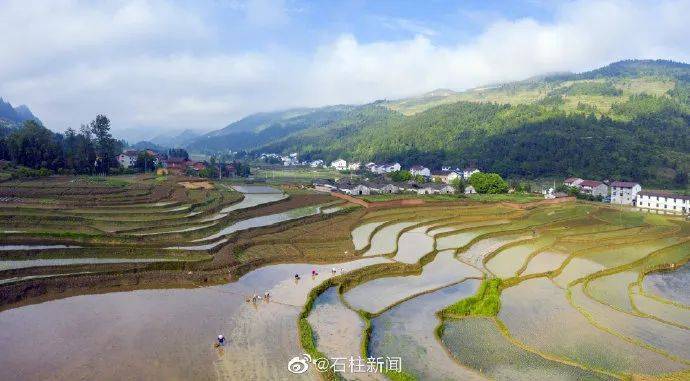 三星乡大梁子梯田上榜《重庆梯田景观地图,一起打卡石柱绝美梯田