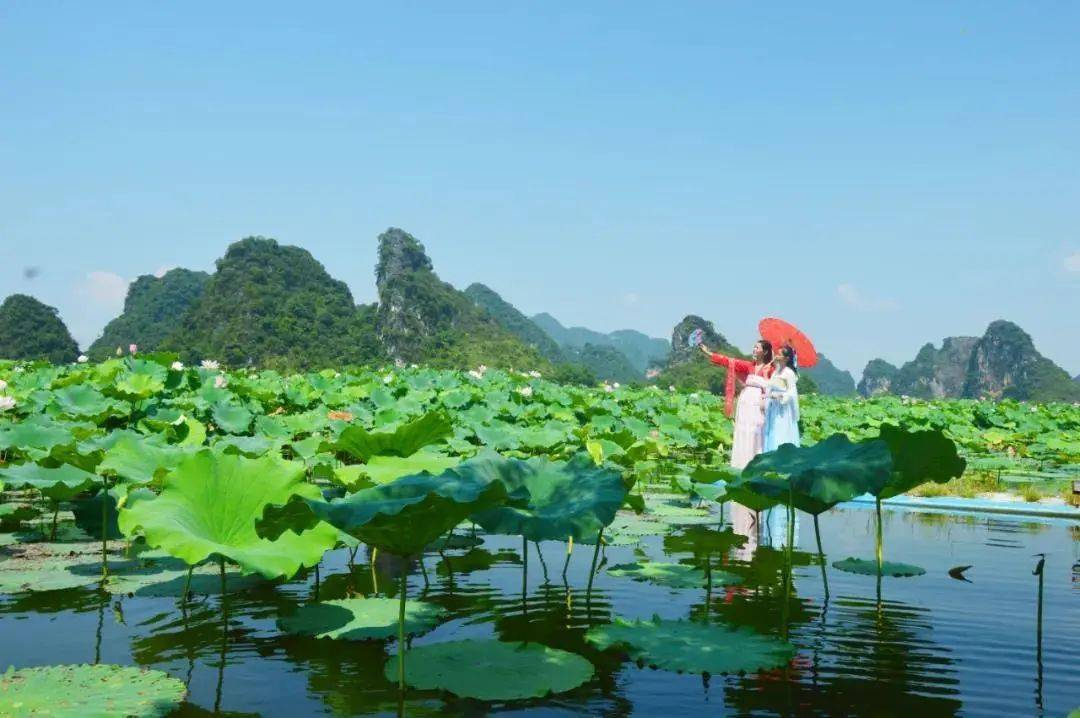 山水美景 纳入眼底 一览无余,惬意无限 乘坐热气球赏醉美莲湖 乘最美
