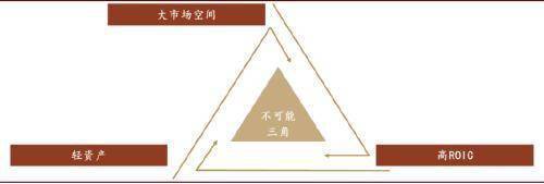 图表 市场空间,轻资产,高资本回报是一个"不可能三角"