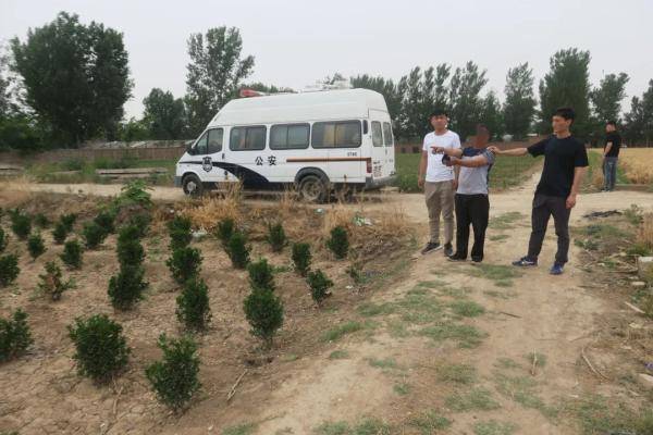 洛阳警方打掉两个盗挖古墓葬的犯罪团伙，抓获