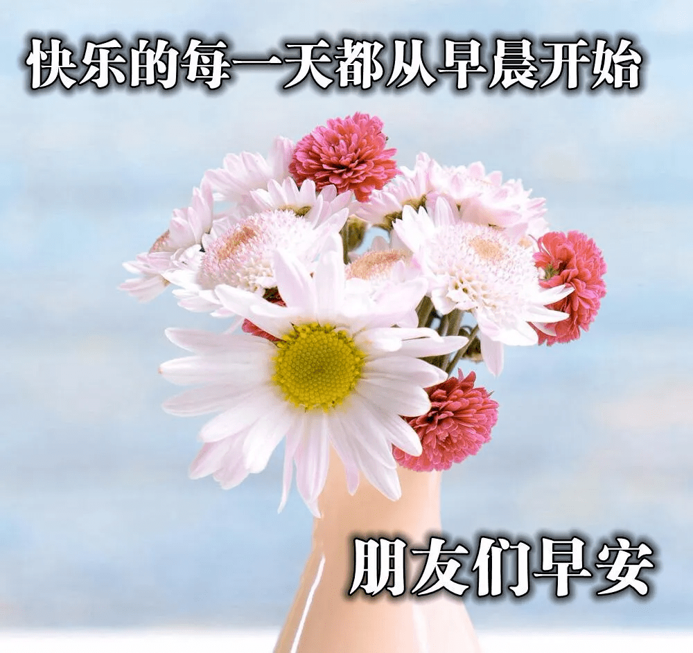 朋友圈清早早上好问候图片鲜花带字,早晨美好祝福送给