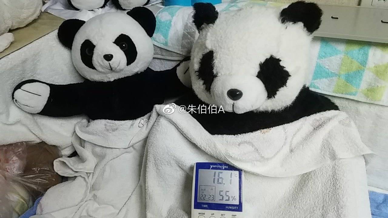 娃娃|也修复童年和人心72岁“娃娃医生”朱伯明：修复玩具神还原