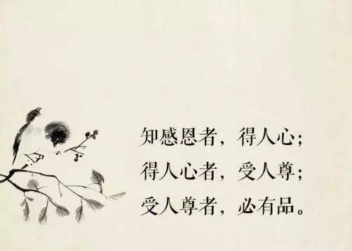 做人,请记住!树不忘根,人不忘恩!