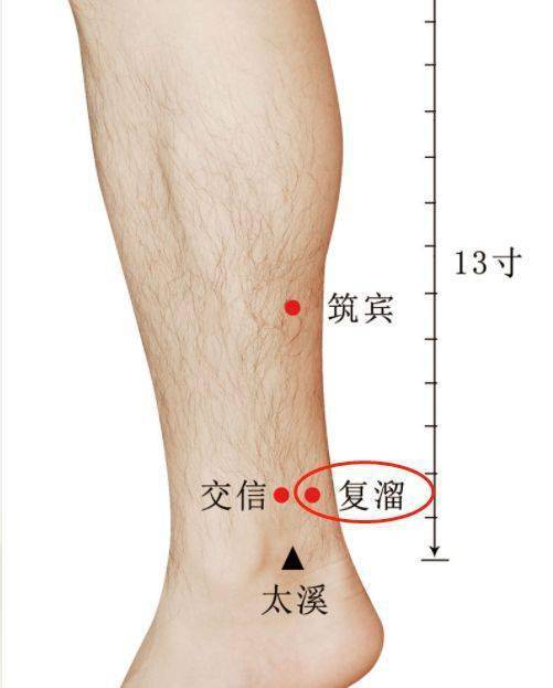小腿 8c6f85a58c3a4334a4df479901563760.jpeg