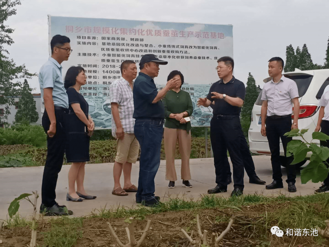 国家茧丝办处长吴凤武赴石门镇东池村开展蚕桑基地调研