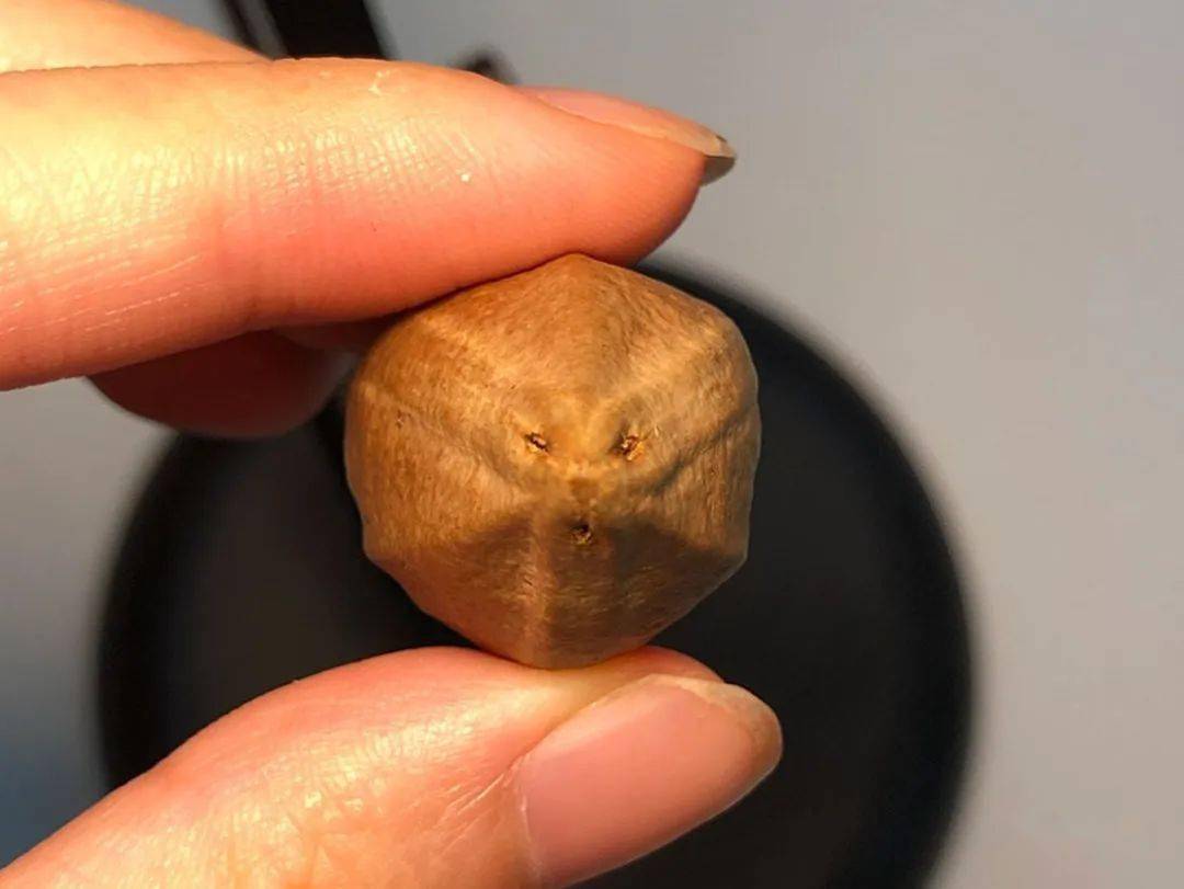 四花核真的比三花核好吗？