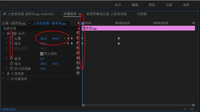 白鸽网络 | pr干货大放送第三弹