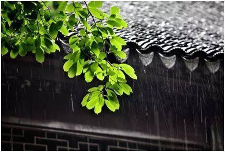今日芒种 | 所有惊喜的未来 都有一个努力耕耘的当下
