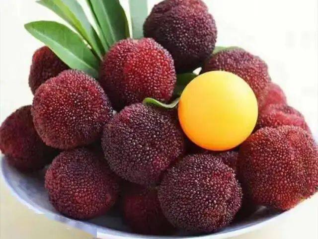 注意!仙居东魁杨梅大量上市还需一周,现在卖的都是冒牌货