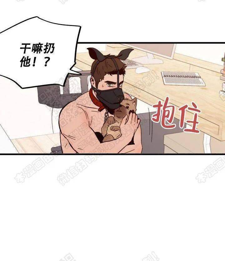 忠犬攻x主人大佬受