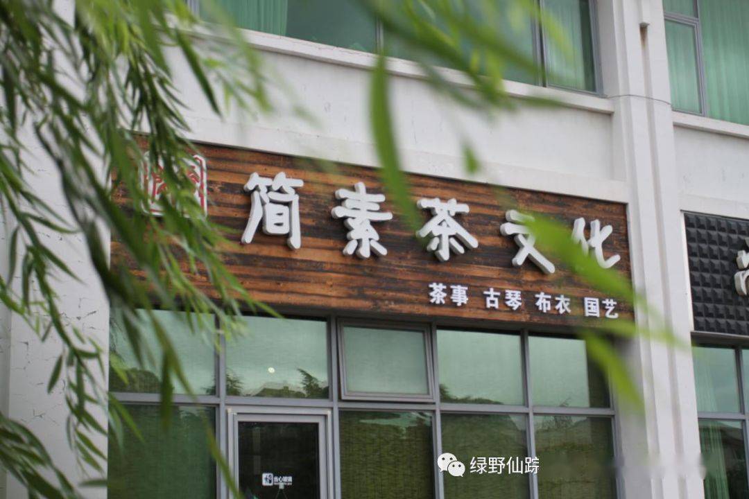 绿野仙踪教师风采陈靖