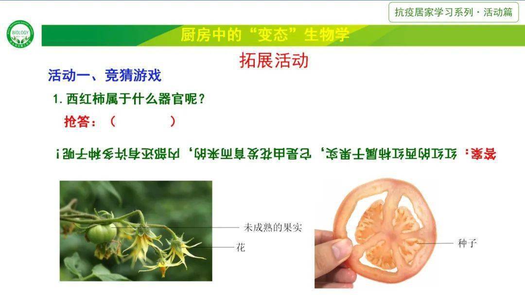 植物有六大器官:根,茎,叶,花,果实,种子.