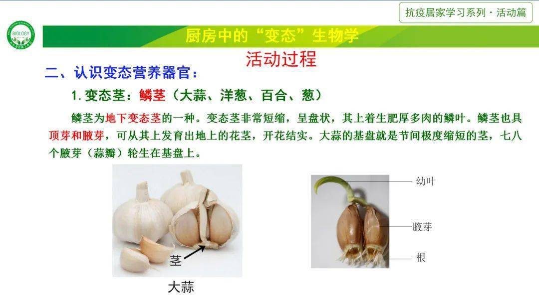 植物有六大器官:根,茎,叶,花,果实,种子.