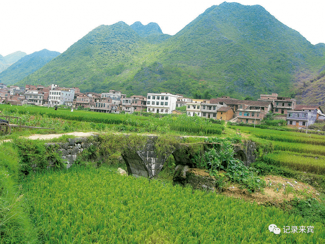 广西来宾忻城民间里这些桥梁,建于明清时期,如今依然安好!_忻城县