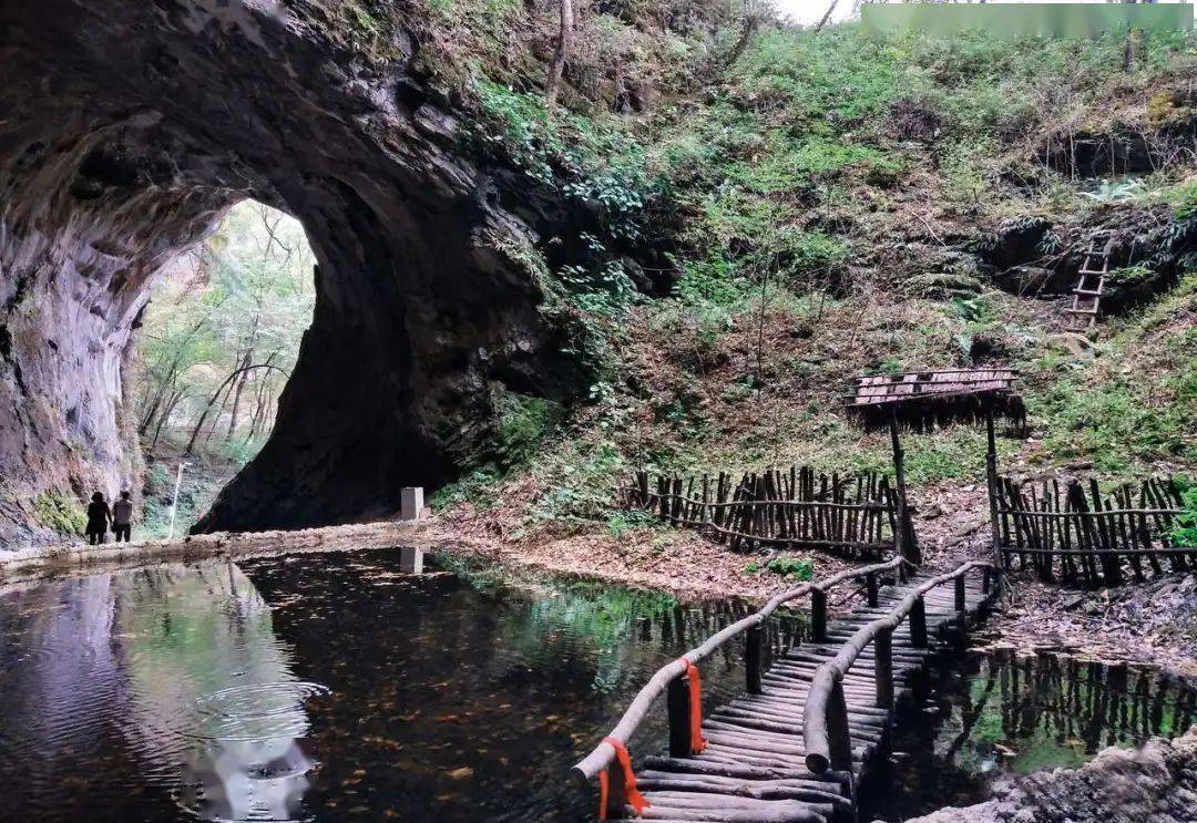 国家aaaa级旅游景区五龙洞国家森林公园,位于汉中市略阳县境内,总