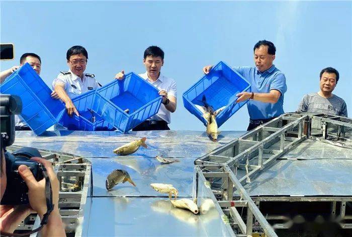 6月6日全国"放鱼日",大荔黄河流域投放80万尾各种鱼苗!