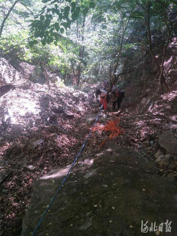 救援|4人野游被困深山，河北保定民警8小时紧张救援