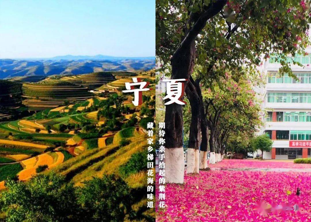 林世泉|梦想不延时华师在等你