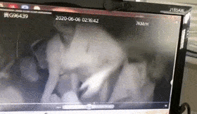 后排|愤怒！贵州一出租车司机遭乘客拳打脚踢，只因说了一句话……