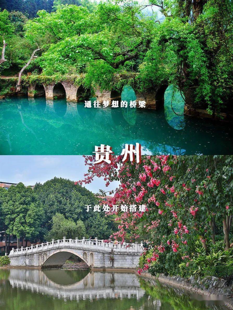 林世泉|梦想不延时华师在等你