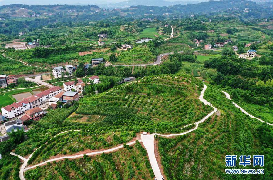王全超|重庆：夏日山乡美