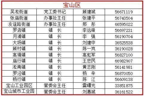 重庆乡镇人口普查员名单电话_重庆最美女孩