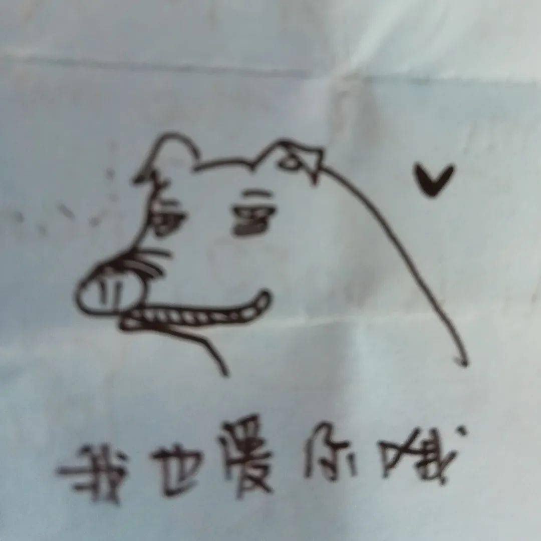 特刊|快收好学姐学长们的高考小锦囊！【高考特刊】倒计时30天