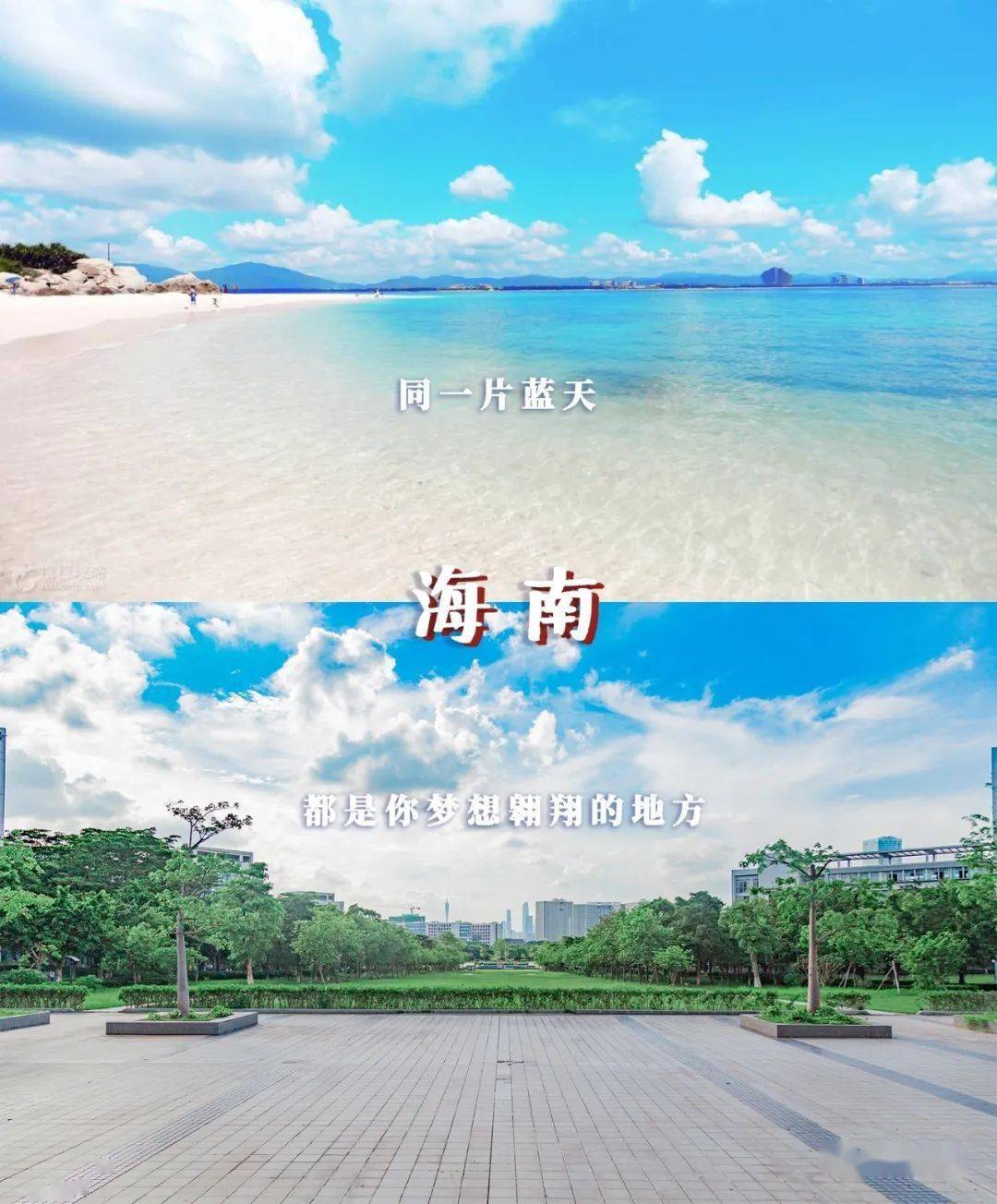 林世泉|梦想不延时华师在等你