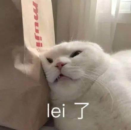 2a466cb1e2354f8482b3634382463b94.jpeg