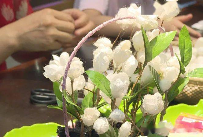 【致童年】快乐亲子 共享破茧成花乐趣_蚕茧